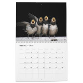 Mooie Vogels Naturen Dieren Avian Kalender (Feb 2026)