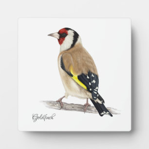 Mooie vogels Plaque Fotoplaat