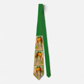 mooie vogels print stropdas (Voorkant)