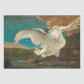 Mooie vogels,  schilderijen van White Swan Tissuepapier (Voorkant)