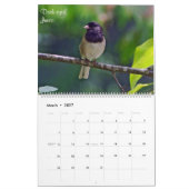 Mooie vogels van British Columbia Kalender (Mar 2027)