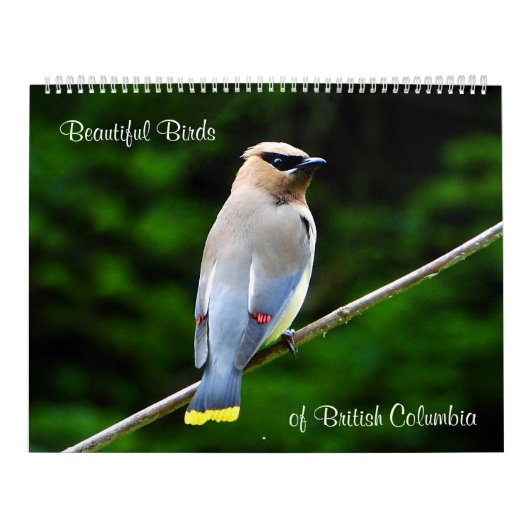 Mooie vogels van British Columbia Kalender (Hoes)