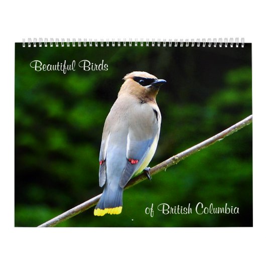 Mooie vogels van Brits-Columbia Kalender (Hoes)