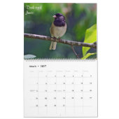 Mooie vogels van Brits-Columbia Kalender (Mar 2027)