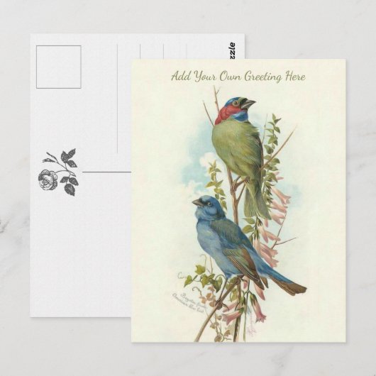 Mooie vogels voegen je eigen groet toe briefkaart (Voorkant / Achterkant)