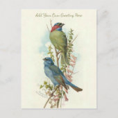 Mooie  vogels voegen je eigen groet toe briefkaart (Voorkant)