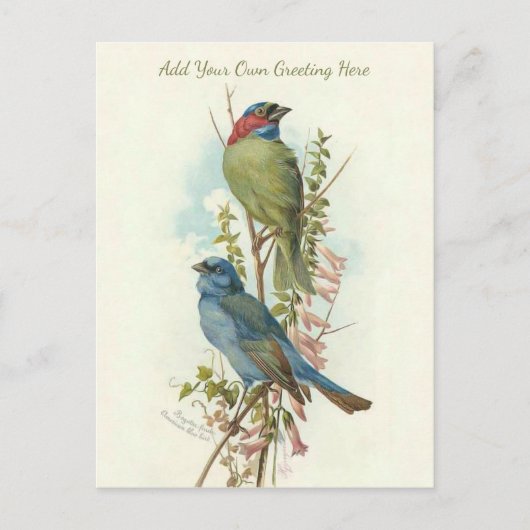 Mooie  vogels voegen je eigen groet toe briefkaart (Voorkant)