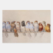 Mooie Vogels Waterverf Vogelbaars Inpakpapier Vel (Voorkant 3)