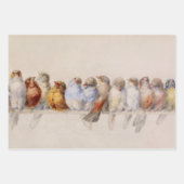 Mooie Vogels Waterverf Vogelbaars Inpakpapier Vel (Voorkant 2)