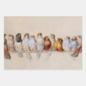 Mooie Vogels Waterverf Vogelbaars Inpakpapier Vel (Voorkant)