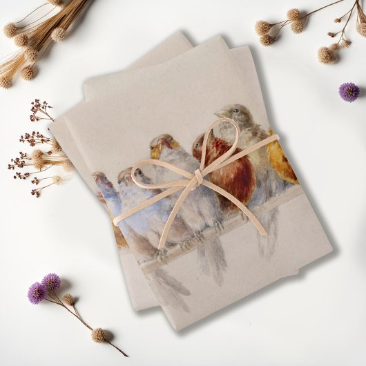 Mooie Vogels Waterverf Vogelbaars Inpakpapier Vel