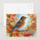 Mooie vogels Zomerlandschap 9 Briefkaart (Voorkant / Achterkant)