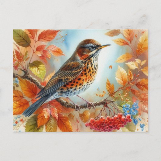 Mooie vogels Zomerlandschap 9 Briefkaart (Voorkant)