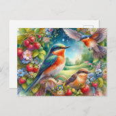 Mooie vogels zomerlandschap briefkaart (Voorkant / Achterkant)
