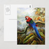 mooie vogelsoorten briefkaarten 06 (Voorkant / Achterkant)