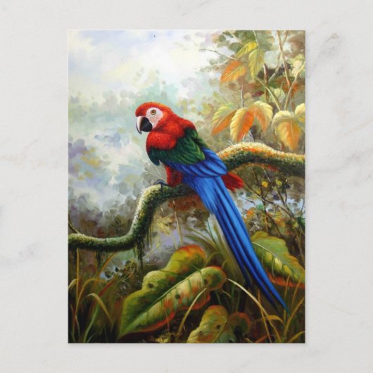 mooie vogelsoorten briefkaarten 06 (Voorkant)