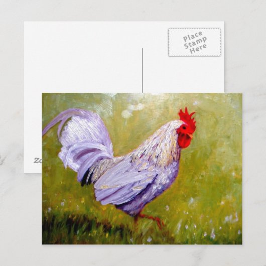 mooie vogelsoorten briefkaarten 12 (Voorkant / Achterkant)