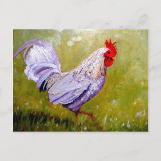 mooie vogelsoorten briefkaarten 12