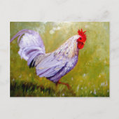 mooie vogelsoorten briefkaarten 12 (Voorkant)