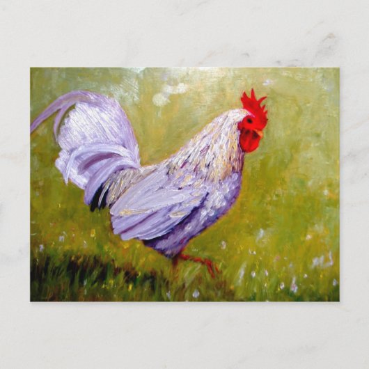 mooie vogelsoorten briefkaarten 12 (Voorkant)