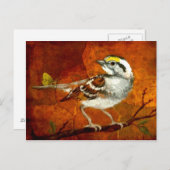 mooie vogelsoorten briefkaarten 13 (Voorkant / Achterkant)