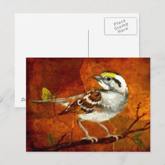 mooie vogelsoorten briefkaarten 13 (Voorkant / Achterkant)