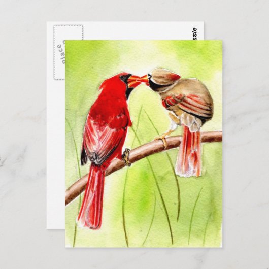 mooie vogelsoorten briefkaarten 15 (Voorkant / Achterkant)