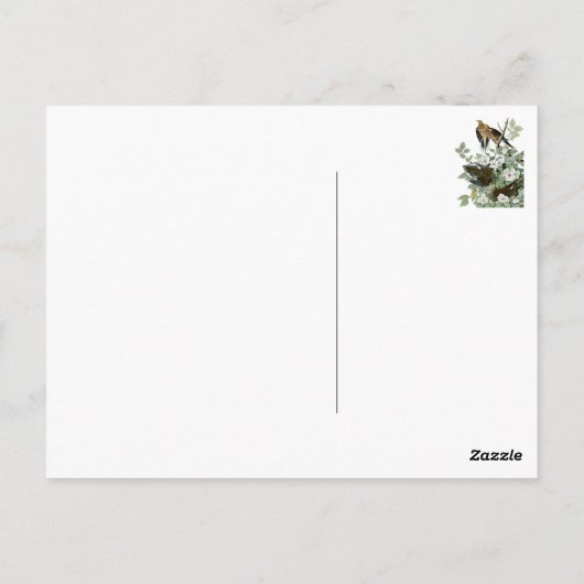 mooie vogelsoorten briefkaarten 28 (Achterkant)