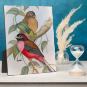 Mooie  vogeltantschildpad met Easel Fotoplaat (Zijkant)