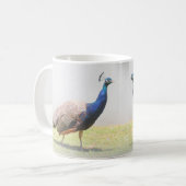 Mooie vogelvogels van Peacock Koffiemok (Voorkant links)