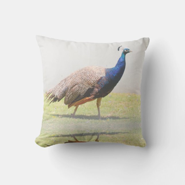 Mooie vogelvogels van Peacock Kussen (Voorkant)