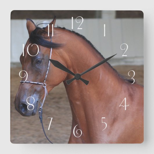 Mooie volgroeide arabische hengst vierkante klok (Voorkant)
