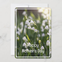 Mooie voorjaarsbloemen Moederdag