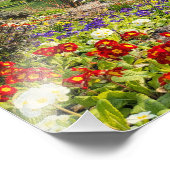 Mooie voorjaarsochtend foto afdruk (Hoek)