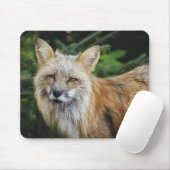 Mooie vos in het wild muismat (Met muis)