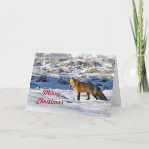 Mooie vos sneeuw foto kerst feestdagen kaart