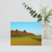 Mooie, vreemde gouden bomen briefkaart (Staand voorkant)