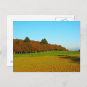 Mooie, vreemde gouden bomen briefkaart (Voorkant / Achterkant)