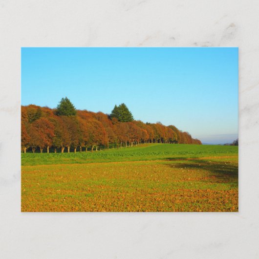 Mooie, vreemde gouden bomen briefkaart (Voorkant)