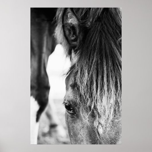 Mooie vriend Horse "poster" Poster (Voorkant)