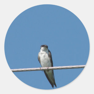 Mooie Vrouw Barn Swallow Ronde Sticker