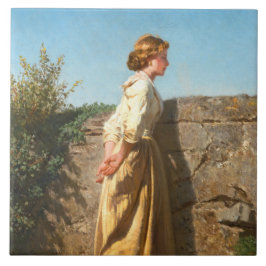 Mooie vrouw die over de muur kijkt () tegeltje