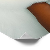 Mooie vrouw met kat poster (Hoek)