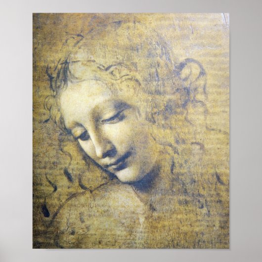 Mooie vrouw van Leonard Davinci, print (Voorkant)
