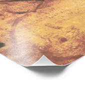 Mooie vrouw van Leonardo da Vinci Foto Afdruk (Hoek)