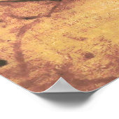 Mooie vrouw van Leonardo da Vinci Poster (Hoek)