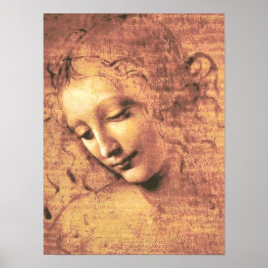 Mooie vrouw van Leonardo da Vinci Poster (Voorkant)