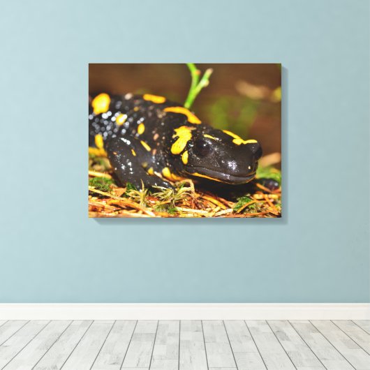 Mooie vuursalamander canvas afdruk (Insitu (Houten vloer))