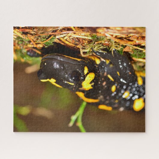 Mooie vuursalamander legpuzzel (Horizontaal)