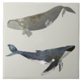 Mooie walvissen keramische keuken Tegel Tegeltje (Voorkant)